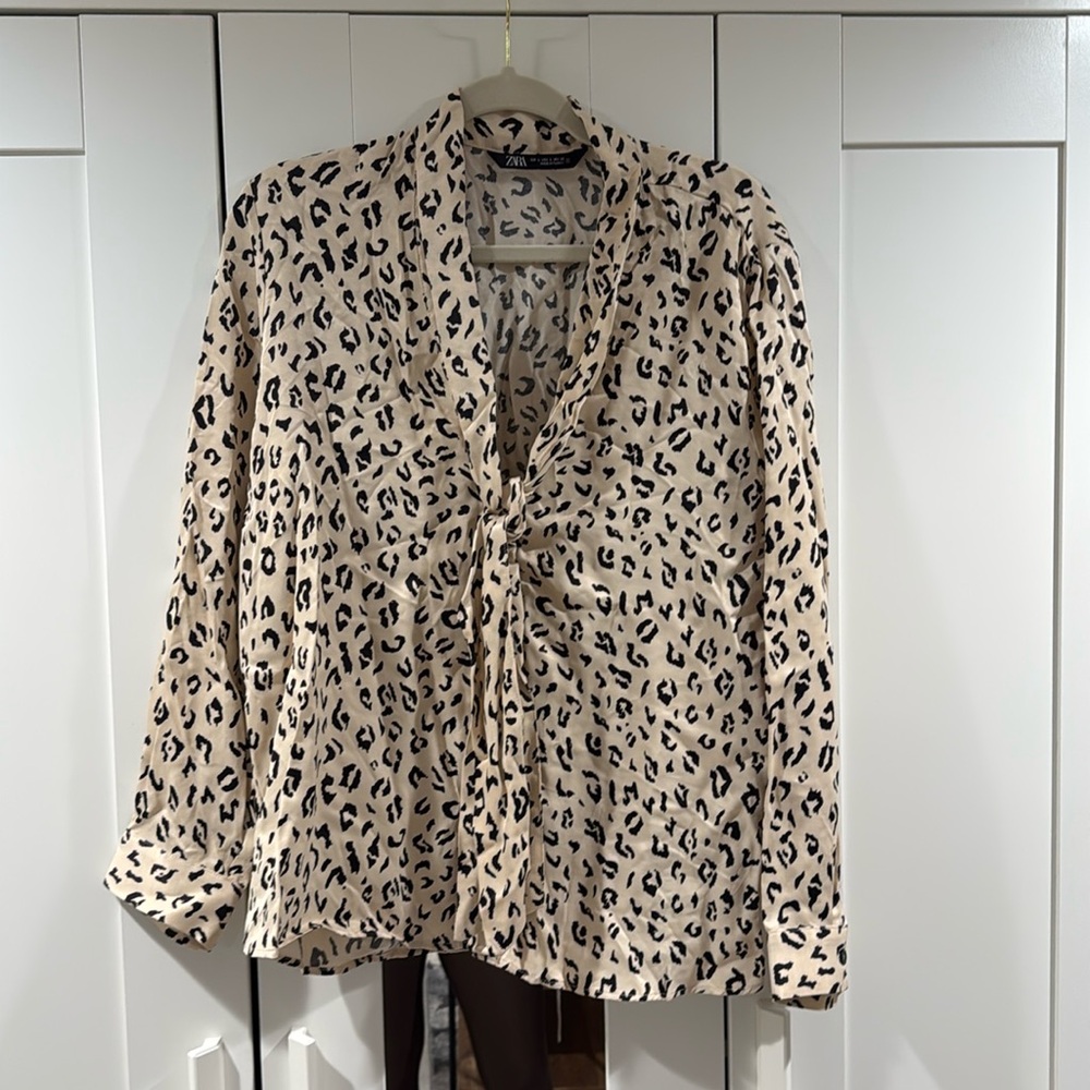 Beautiful ZARA blouse
